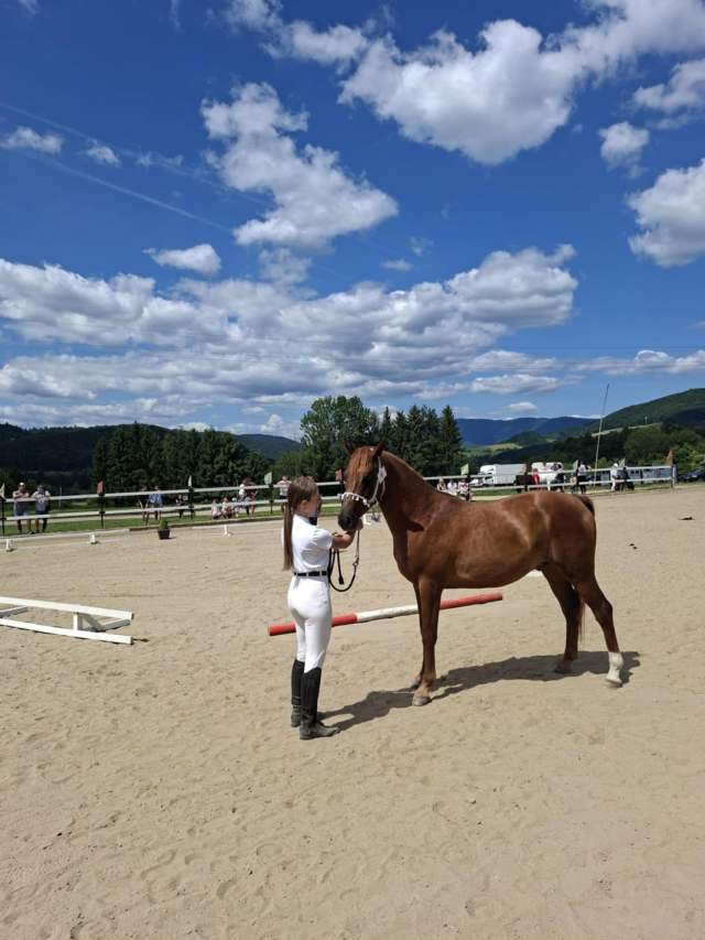 2e87ed03-3bf2-47ab-a9cf-41cfe10d8a2b